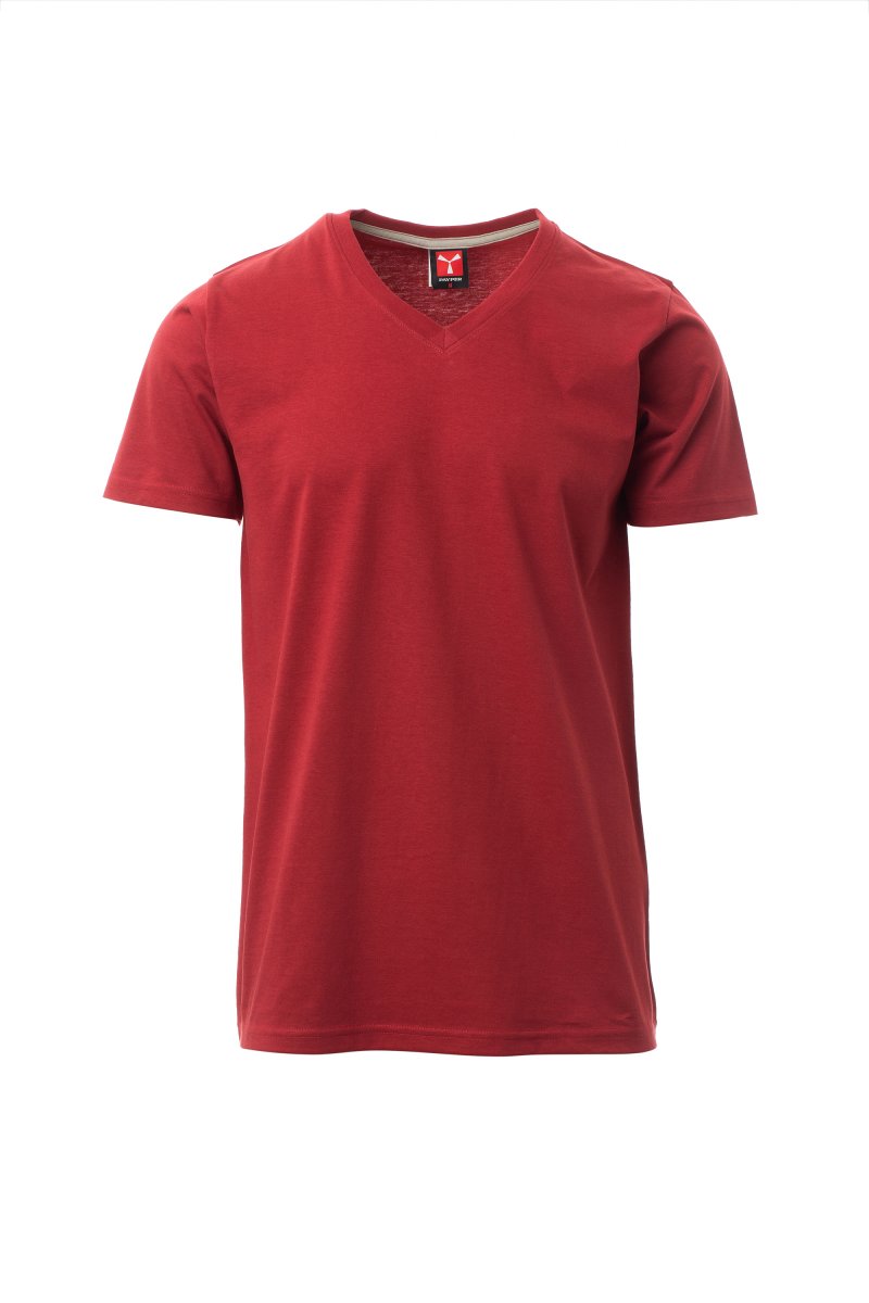PAYPER V-NECK MANNEN T-SHIRT - Verberg Collective 